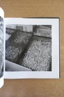 ひと夏「ファザーファッカー」The Photography