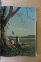 Tim Walker: Pictures