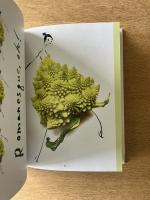Edible Ensembles: A Fashion Feast for the Eyes, From Banana Peel Jumpsuits to Kale Frocks