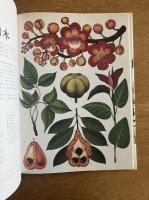 ボタニカム　ようこそ、植物の博物館へ