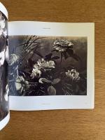（仏文）19-20世紀　花の写真集　ボタニカ【Botanica : Photographies de vegetaux au XIXe et XXe siecle】