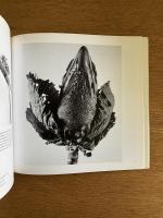 （仏文）19-20世紀　花の写真集　ボタニカ【Botanica : Photographies de vegetaux au XIXe et XXe siecle】
