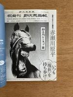 季刊d/SIGN No.17 : 知覚の地層を探索する グラフィックデザイン・ブックデザイン・タイポグラフィ批評誌 ＜特集 : デザインと編集力＞