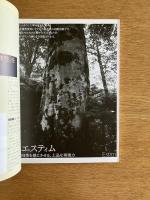 季刊d/SIGN No.13 : 知覚の地層を探索する グラフィックデザイン・ブックデザイン・タイポグラフィ批評誌 ＜特集 : ロボットのデザイン＞