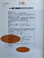 太陽 31巻4号=No.382(1993年4月) ＜特集 : 瀧口修造のミクロコスモス＞
