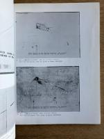 荒川修作展 : 絵画についての言葉とイメージ