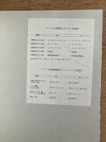 イメージの冒険 アフリカ美術展