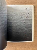 ［限定1000部］Fläckar, Ord