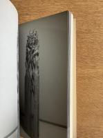 「戸谷成雄―さまよう森」：2001：国際芸術センター青森・開館記念展