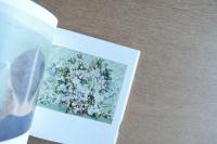 VISION Toyota Municipal Museum of Art　豊田市美術館所蔵作品選2015