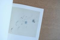 （英独文）サイ・トゥオンブリー作品展　ボルセーナ【Cy Twombly : Bolsena】