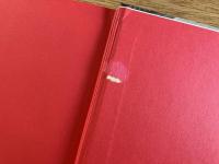 混沌を往く　北京・上海・広州・重慶　小川節男写真集