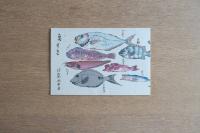 川奈ホテル 奥すき 魚図鑑風 リーフレット 非売品 昭和レトロ 観光ホテル資料