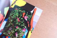 ［限定300部］ New Noir2 [ZINE] 蜷川実花 MIKA NINAGAWA