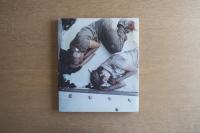 Mike Brodie A period of juvenile prosperity