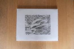 ミケーレ・デ・ルッキ《grande albero e dirupo》直筆サイン入り銅版画［額装］