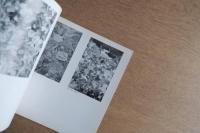 牧野虎雄展 図録（1978年・東京都美術館）