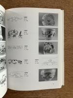 古伊万里の文様 : 初期肥前磁器を中心に