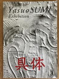 Yasuo Sumi Exhibition パンフレット（2013年 Whitestone Gallery）