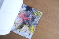SHOZO SHIMAMOTO ACTION COLOURAS