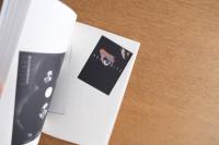 Lech Majewski Vision of Design