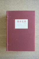 青年文学