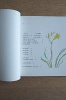 深沢紅子野の花美術館軽井沢 : since 1996.7.27