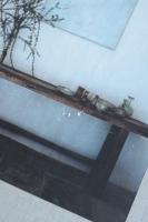 Interiors: Atelier AM