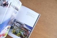 SHOZO SHIMAMOTO A Serious Bluffer 嶋本昭三
