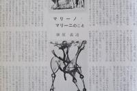 現代の眼