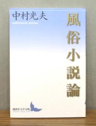 風俗小説論