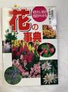 花の事典