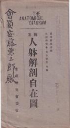新案 人体解剖自在図