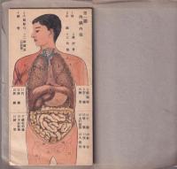 新案 人体解剖自在図