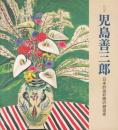 児島善三郎 : 日本的油彩画の創造者 : 特別展