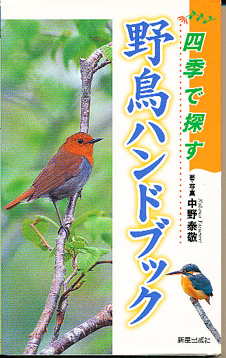 Amazon.co.jp: 武藤少弐興亡史 : 渡辺 文吉: 本