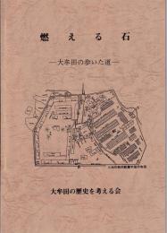 燃える石 : 大牟田の歩いた道