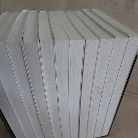 11冊　日本棋院新書　入段編　強くなる置碁の急所　布石の心得　布石感覚　手筋作戦　必修手筋250 小目の定石 星の定石 ヨセの知識  ファッション本・雑誌・漫画 - 日本棋院新書 入段編 １０冊セット af21