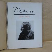 みずえ　臨時増刊400号　PICASSO 1901-1925
