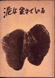 泥は生きている : 亀高洋介の生涯