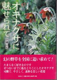 幻の野草オキナグサに魅せられて : 写真集