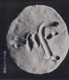 榊莫山マンダラ展