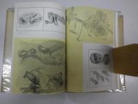 宮本三郎南方従軍画集