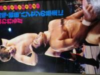 プロレス 1982 10月号（グラビア：猪木・ホーガンタッグフロリダ戦/馬場・鶴田ハンセンの暴走に救われる/タイガーマスクのニューヨーク戦/藤波思い出のマディソンで王者に復活/テリーＶＳハンセン/鉄の爪エリック兄弟ほか）