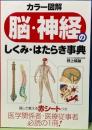 脳・神経のしくみ・はたらき事典　カラー図解