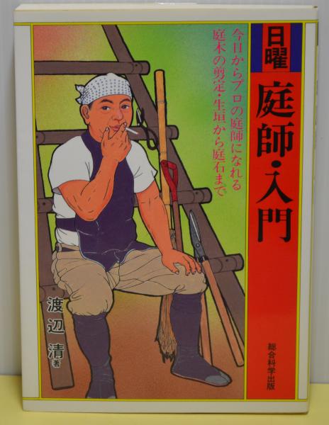 ロマンアルバム・エクストラ48 伝説巨神イデオン / ブック