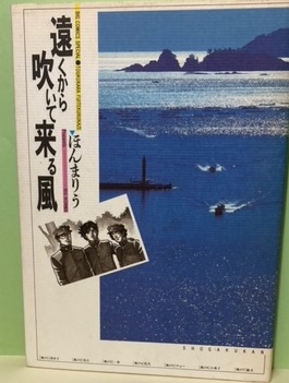 JUN SHIBATA CONCERT TOUR 2008(柴田淳) / ブックレビュー