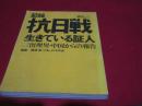 記録抗日戦　生きている証人 三留理男・中国からの報告