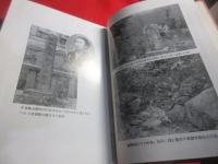 中岡慎太郎先生