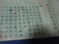 藤氏蓮池鍋島系譜（仮）